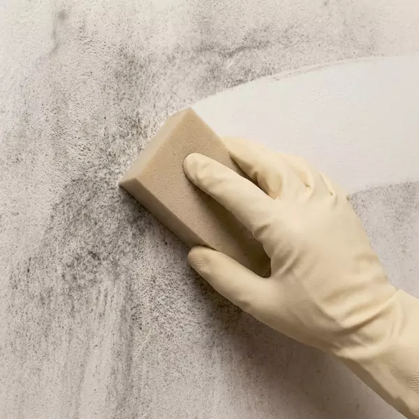 Smoke Cleaning in Oxnard, CA 