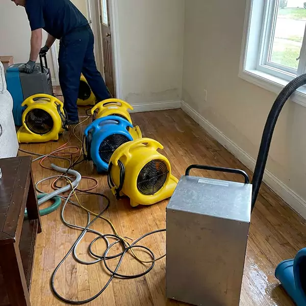 Water Mitigation Services in Oxnard, CA