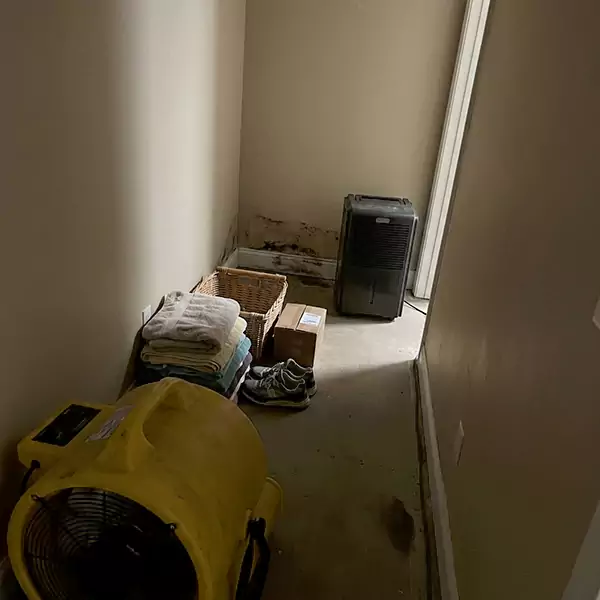 Expert Water Remediation in Oxnard, CA 