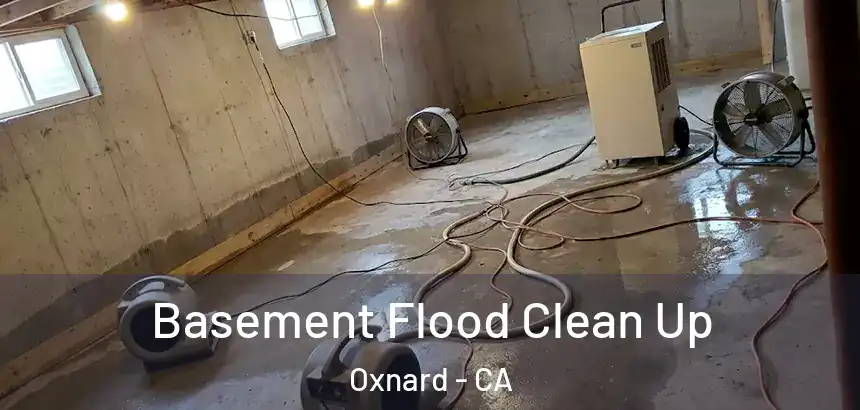  Basement Flood Clean Up Oxnard - CA