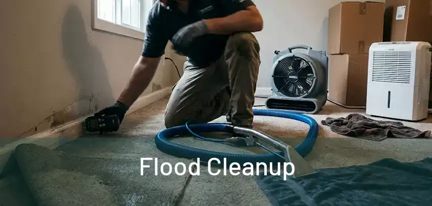  Flood Cleanup 