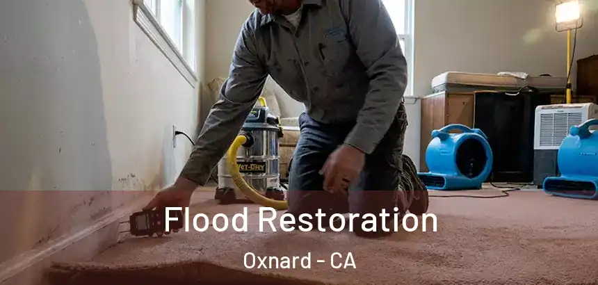  Flood Restoration Oxnard - CA