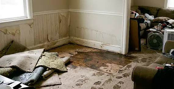 Why Choose Water Damage Oxnard For Water Damage Restoration Services in Oxnard, CA?
