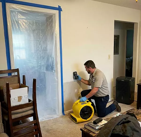 Why Homeowners & Businesses Choose Water Damage Oxnard for Water Remediation in Oxnard, CA?