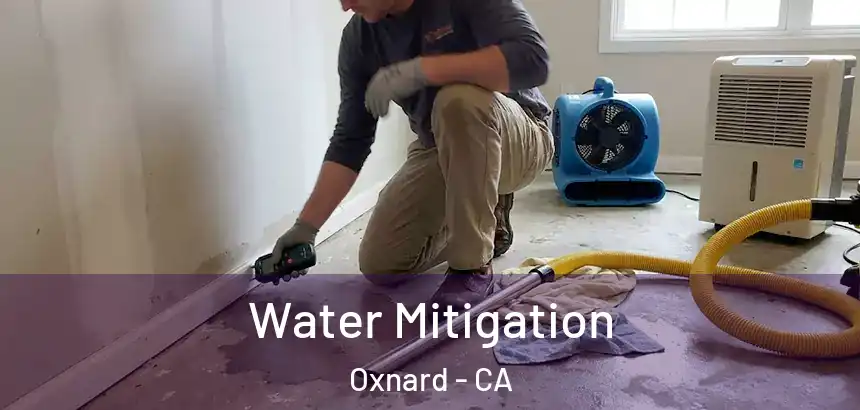  Water Mitigation Oxnard - CA