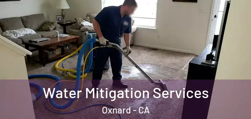  Water Mitigation Services Oxnard - CA
